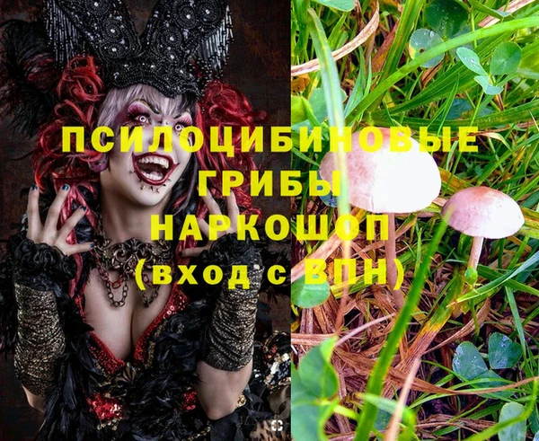 эйфоретик Осинники