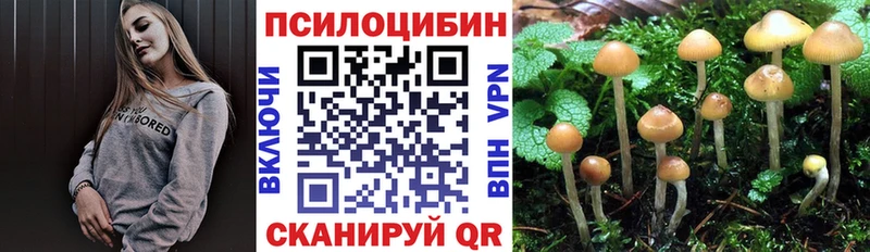 где купить наркоту  Вилюйск  Галлюциногенные грибы мухоморы 